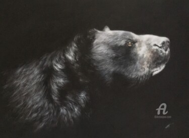 Zeichnungen mit dem Titel "Bad Bear" von Irene_art, Original-Kunstwerk, Pastell