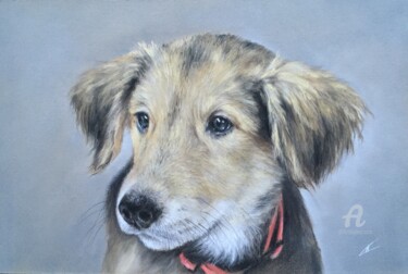 Rysunek zatytułowany „Small doggy” autorstwa Irene_art, Oryginalna praca, Pastel