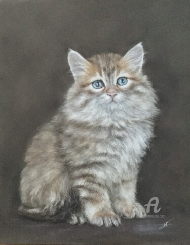 Dessin intitulée "Siberian kitten" par Irene_art, Œuvre d'art originale, Pastel