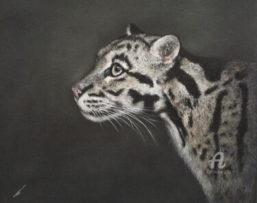 Рисунок под названием "Clouded Leopard" - Irene_art, Подлинное произведение искусства, Пастель