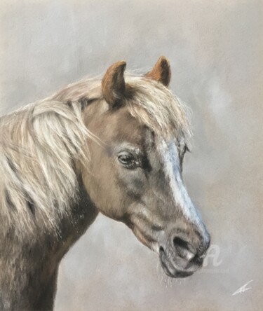 Drawing titled "Poney portrait" by Irene_art, Original Artwork, Pastel