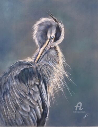 Disegno intitolato "Great blue heron" da Irene_art, Opera d'arte originale, Pastello
