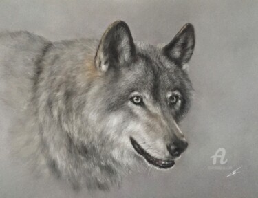 Drawing titled "Wolf look" by Irene_art, Original Artwork, Pastel