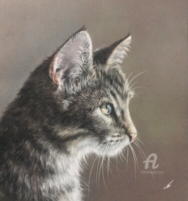 Drawing titled "Chat" by Irene_art, Original Artwork, Pastel