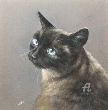 Drawing titled "Siamese cat Cocoa" by Irene_art, Original Artwork, Pastel
