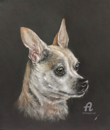 Dessin intitulée "Chihuahua portrait" par Irene_art, Œuvre d'art originale, Pastel