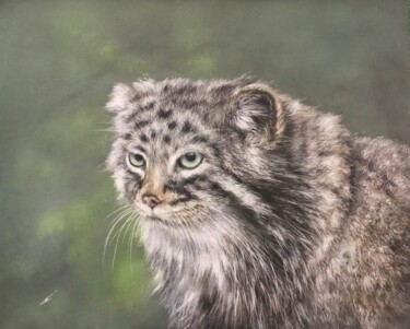 Drawing titled "Pallas's cat" by Irene_art, Original Artwork, Pastel