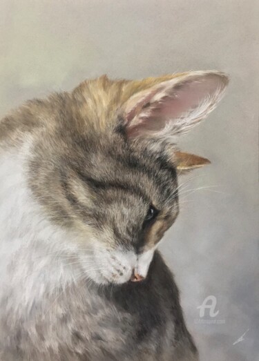 Dibujo titulada "Cat portrait" por Irene_art, Obra de arte original, Pastel