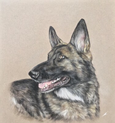 Desenho intitulada "German shepherd por…" por Irene_art, Obras de arte originais, Pastel