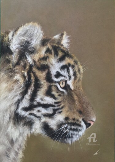 Рисунок под названием "Tiger profile" - Irene_art, Подлинное произведение искусства, Пастель
