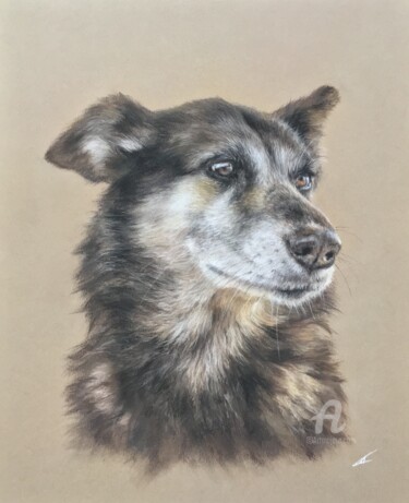 Pintura intitulada "Very clever dog" por Irene_art, Obras de arte originais, Pastel