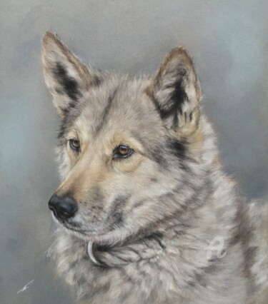 Dessin intitulée "Chien intelligent" par Irene_art, Œuvre d'art originale, Pastel