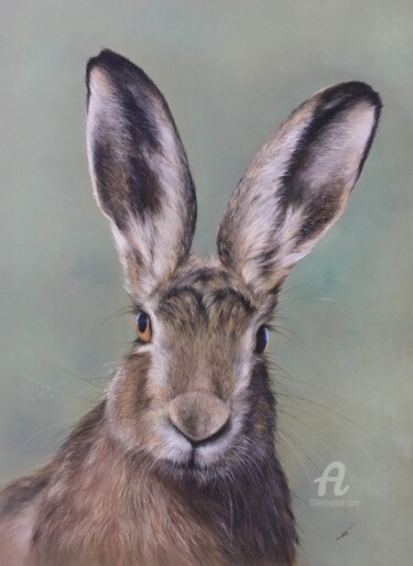 Dibujo titulada "Cute hare" por Irene_art, Obra de arte original, Pastel