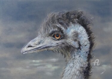 Zeichnungen mit dem Titel "Emu" von Irene_art, Original-Kunstwerk, Pastell