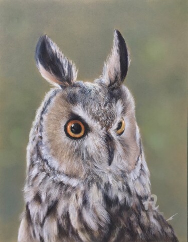Рисунок под названием "Owl portrait" - Irene_art, Подлинное произведение искусства, Пастель
