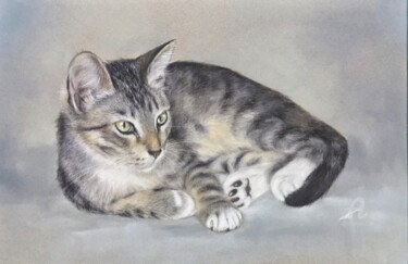 Dessin intitulée "Grey cat" par Irene_art, Œuvre d'art originale, Pastel