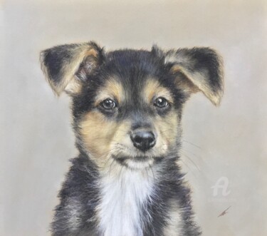 Drawing titled "Attentive puppy" by Irene_art, Original Artwork, Pastel