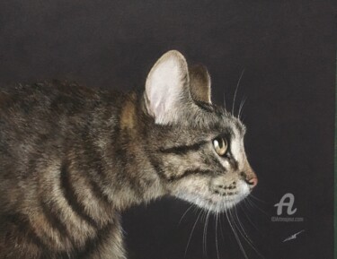 Zeichnungen mit dem Titel "Hunter-cat" von Irene_art, Original-Kunstwerk, Pastell