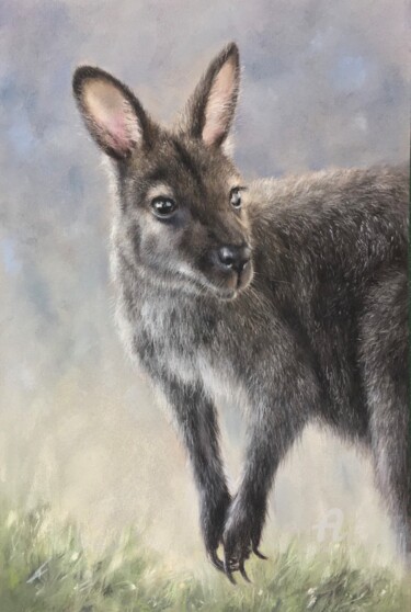 Desenho intitulada "Curious kangaroo" por Irene_art, Obras de arte originais, Pastel