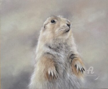 Рисунок под названием "Marmot" - Irene_art, Подлинное произведение искусства, Пастель