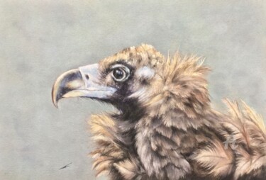 Dibujo titulada "Vulture" por Irene_art, Obra de arte original, Pastel