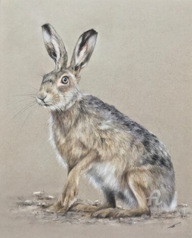 Zeichnungen mit dem Titel "Curious hare" von Irene_art, Original-Kunstwerk, Pastell