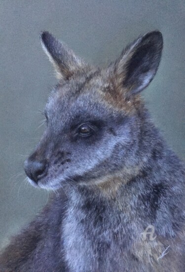 Drawing titled "Wallaby" by Irene_art, Original Artwork, Pastel