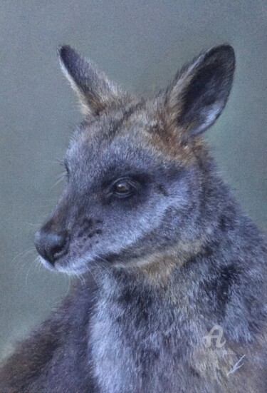 Dessin intitulée "Wallaby" par Irene_art, Œuvre d'art originale, Pastel