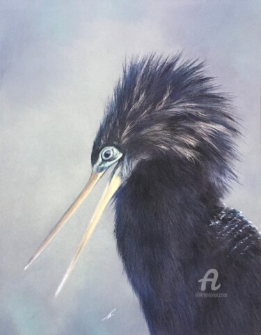 Desenho intitulada "Anhinga" por Irene_art, Obras de arte originais, Pastel