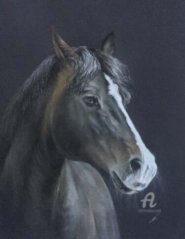 Drawing titled "Cheval" by Irene_art, Original Artwork, Pastel