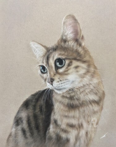 Рисунок под названием "Bengal cat" - Irene_art, Подлинное произведение искусства, Пастель