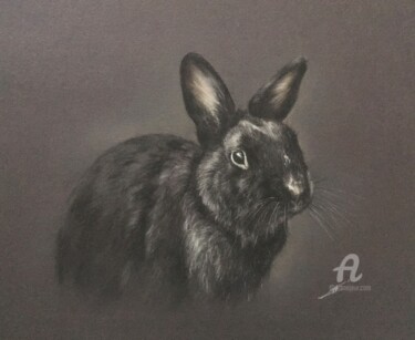 Dibujo titulada "Black bunny portrait" por Irene_art, Obra de arte original, Pastel