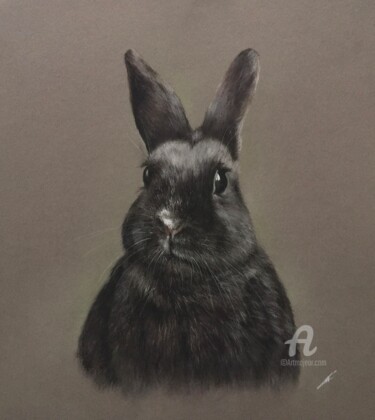 Drawing titled "Cute bunny" by Irene_art, Original Artwork, Pastel