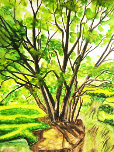 Painting titled "Willow trees vertic…" by Irina Afonskaya, Original Artwork, Watercolor