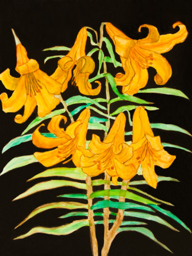 Malerei mit dem Titel "Yellow lilies on bl…" von Irina Afonskaya, Original-Kunstwerk, Aquarell