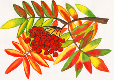 Ζωγραφική με τίτλο "Branch with ash ber…" από Irina Afonskaya, Αυθεντικά έργα τέχνης, Ακουαρέλα