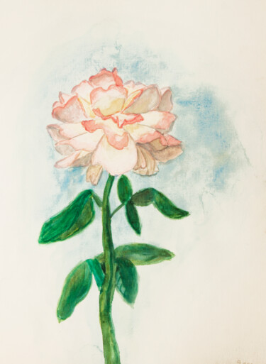 Painting titled "Pink rose on white…" by Irina Afonskaya, Original Artwork, Watercolor