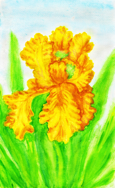 Schilderij getiteld "Yellow iris" door Irina Afonskaya, Origineel Kunstwerk, Aquarel