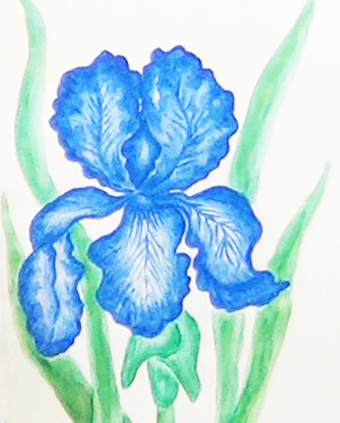 Painting titled "Blue iris 2" by Irina Afonskaya, Original Artwork, Watercolor