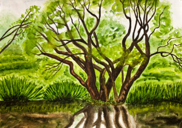 Painting titled "Willow tree horizon…" by Irina Afonskaya, Original Artwork, Watercolor