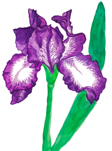 Painting titled "Iris of violet and…" by Irina Afonskaya, Original Artwork, Watercolor