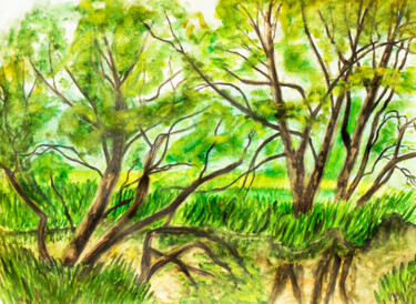 Malerei mit dem Titel "Willow trees near r…" von Irina Afonskaya, Original-Kunstwerk, Aquarell