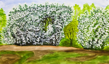 Картина под названием "Bird cherry tree in…" - Irina Afonskaya, Подлинное произведение искусства, Акварель