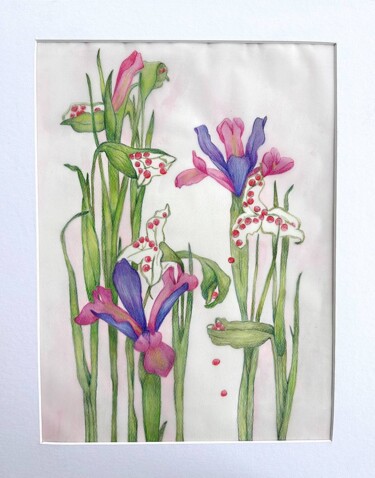 Pintura intitulada "Purple botanical ir…" por Irina Anis, Obras de arte originais, Conté