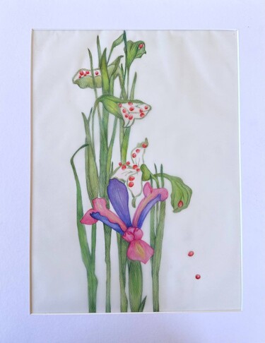Pittura intitolato "Botanical floral pu…" da Irina Anis, Opera d'arte originale, Acquarello