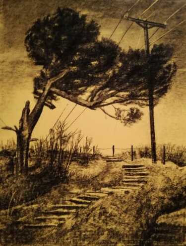 Drawing titled "Paysage 5" by Irina Cavat, Original Artwork, Charcoal Mounted on Other rigid panel