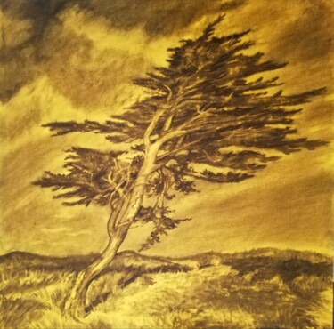 Rysunek zatytułowany „Paysage 7” autorstwa Irina Cavat, Oryginalna praca, Węgiel drzewny Zamontowany na Inny sztywny panel