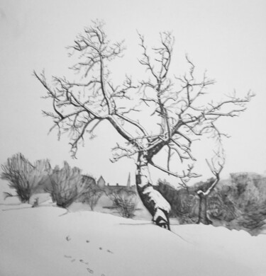 Drawing titled "Winter" by Irina Cavat, Original Artwork, Ink Mounted on Aluminium