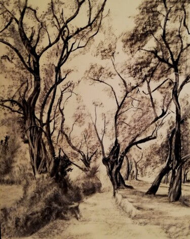 Desenho intitulada "Dans la forêt" por Irina Cavat, Obras de arte originais, Carvão Montado em Cartão