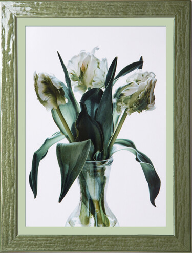 摄影 标题为“White tulips in a g…” 由Irina Dotter, 原创艺术品, 操纵摄影 安装在纸板上
